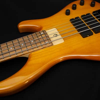 G.Gould GGi5 SST Hybrid Graphite/Maple Composite neck - Alder body - Amber finish - Pao Ferro Fretboard - 8.6 pounds - #1513 image 24
