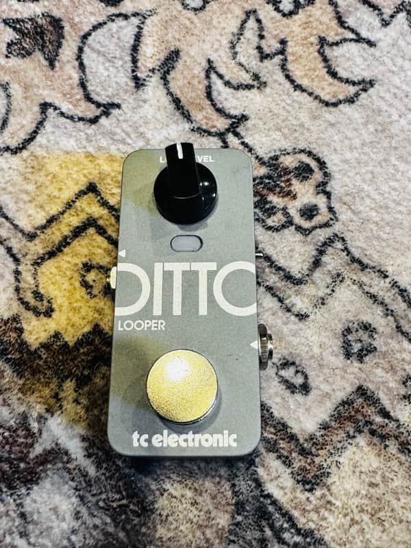 TC Electronic Ditto 2 Looper 2025 - Present - Grey image 1