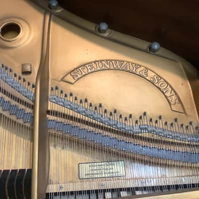 Steinway & Sons Grand Piano Model B, Hamburg 1968 image 3