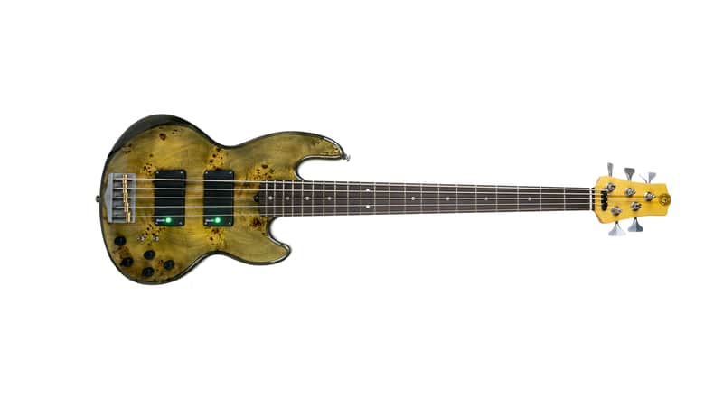Form Factor Audio Wombat 5 5-String Bass image 1