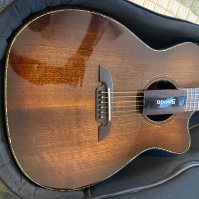 Alvarez Masterworks Elite Series MFA77CEARSHB with LR Baggs VTC and GOTOH 501 Tuners image 19