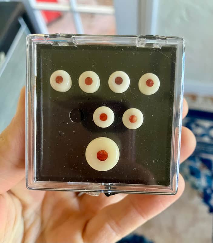 Martin Custom Shop Bone Bridge Pins & Strap Button - 2025 image 1