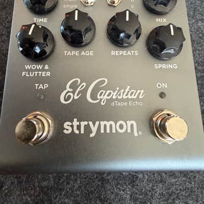 Strymon El Capistan V2 2022 - Present - Grey image 3