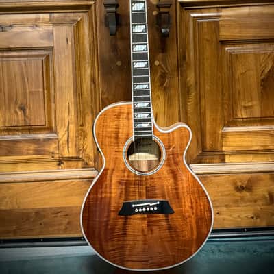 Takamine  TSP178ACK N 2019 -Flame Koa/ Thinline/ Arched Top/ W Pickup image 6