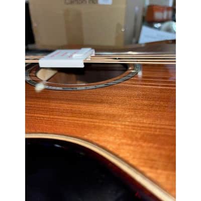 *DEMO* Taylor Builder's Edition 814ce 50th Anniversary | Indian Rosewood image 6