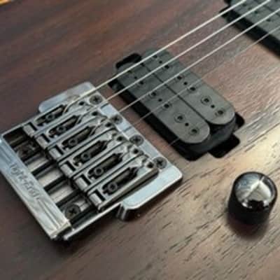 LOADED Original Ibanez Guitar BODY RG721RW PREMIUM in Charcoal Brown Flat (CNF) image 9