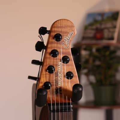 MusicMan Cutlass HT Jason Richardson - Ebony Fingerboard, Buckeye Burl Top Kokiri Forest image 9