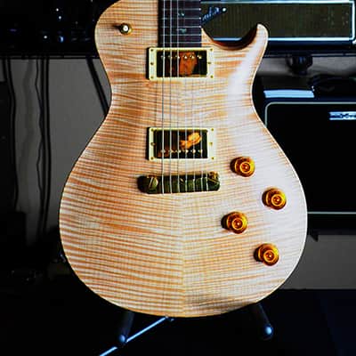 Monster top! Paul Reed Smith PRS Singlecut Artist's Series Package. Gold hardware. image 8
