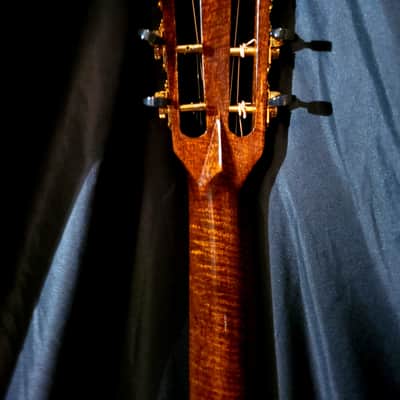 "THE TREE" Mahogany Dillard OM Acoustic Guitar 2023 image 17