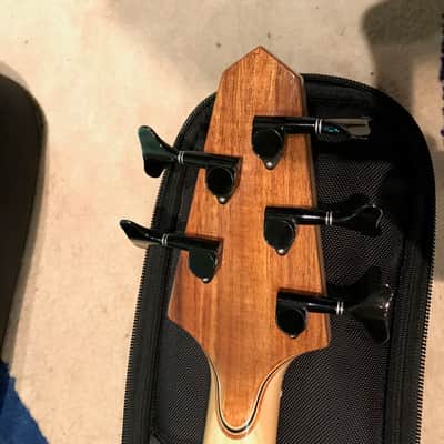 Rick Turner RB5 Fretted 2015 Gloss Renaissance Bass image 11