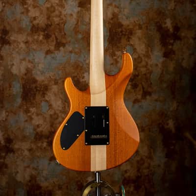 Ruokangas Guitars Aeon Artist Honeyburst image 2