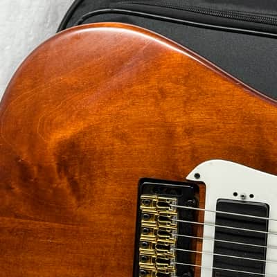 Godin G Series G4000 g 4000 Guitar with Gig Bag 1996 image 3