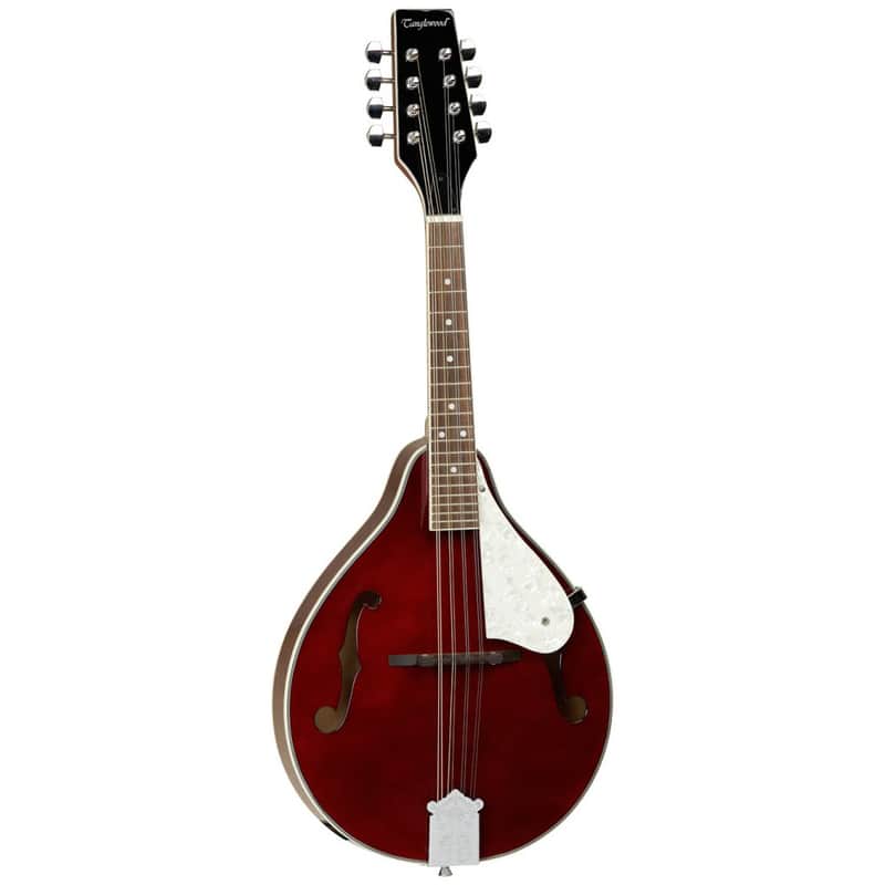 Tanglewood TWM-T-WR Union Mandolin image 1