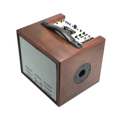 Elite Acoustics EAE D4-8 Rechargeable Acoustic Amp with 4 Channel Digital Mixer/LFP Battery - Wood image 2