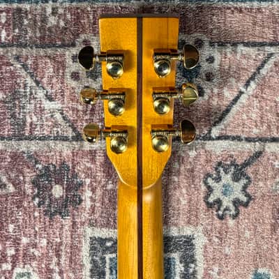 2023 Zager ZAD900CE/AURA/N Natural Fishman Aura Acoustic Electric Guitar W/ Original Hardshell Case! image 12