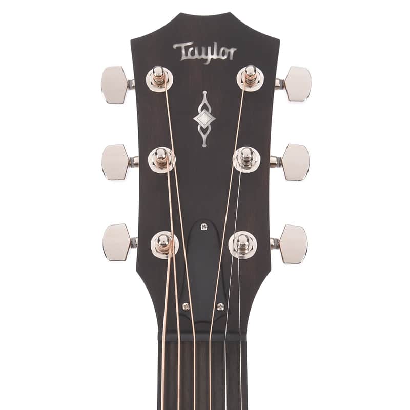 Taylor 317e with V-Class Bracing image 6