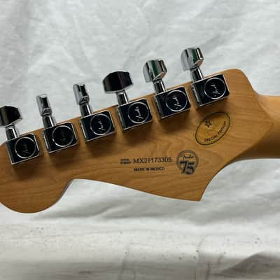 Fender Limited Edition Player Stratocaster Strat Electric Guitar MIM - Made in Mexico image 9