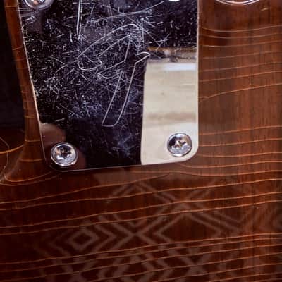 Fender Rosewood Telecaster Vintage 1970 - Rosewood image 12