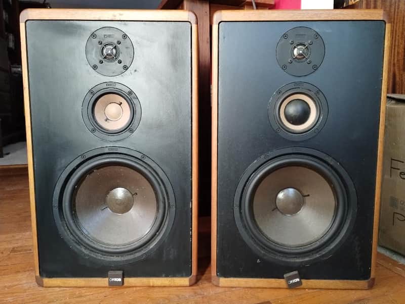 Canton CT800 speakers in excellent condition, modified - 1980's