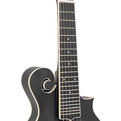 Gold Tone F-6 F-style 6-String Acoustic-Electric Mando-Guitar - Vintage Sunburst image 6