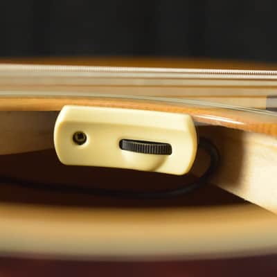 Taylor Trey Hensley Gold Label 510e Special Edition image 11