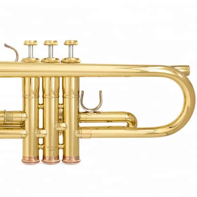 Yamaha YTR-8335LAII 'Custom LA' Wayne Bergeron Bb Trumpet SN D98510 image 13