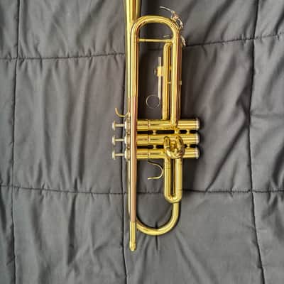 Etude ETR-100 Student Series Bb Trumpet 2010s - Clear-Lacquered Brass image 2