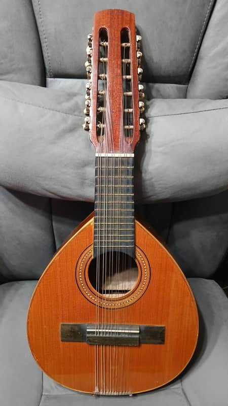 Unbranded 12 STRING