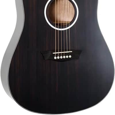 Washburn 6 String Acoustic Guitar, Right, Striped Ebony (DFED) image 1