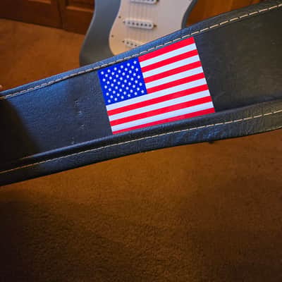 Fender Standard Stratocaster with Maple Fretboard 2001 - 2005 - Blue Agave image 6