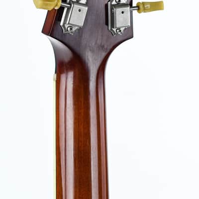Eastman T64/v-T Goldburst image 6