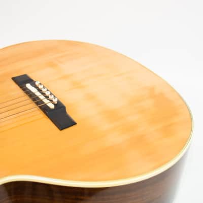 Washburn Tanglewood - Natural Rose Wood image 12