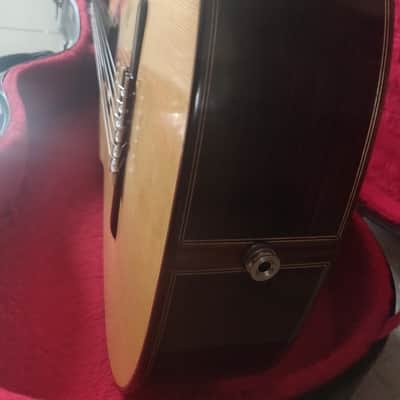 Sergio Sánchez Torres SE 114 + Fishman Premiun Blend - 2014 Shellac varnish image 9