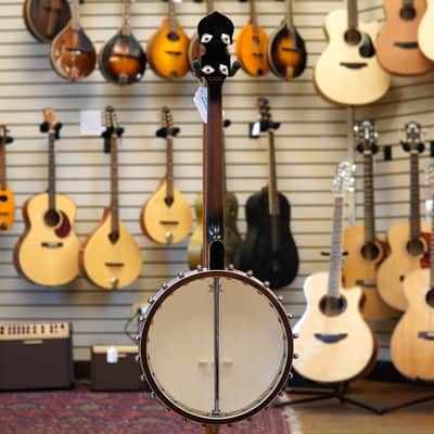 Gold Tone IT-250 11" Irish Tenor Banjo w/Hard Case image 6
