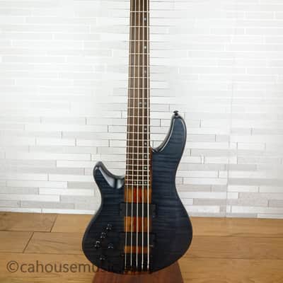 Schecter CB-5 Charles Berthoud Signature Bass Left Handed - See-thru Black Satin image 12