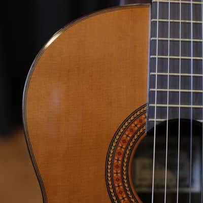 Asturias AST 60 Classical Guitar Cedar/Indian Rosewood image 3