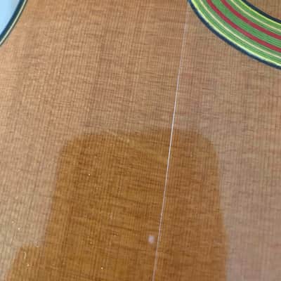 LOOK! Michael Dunn Mystery Pacific Nuages 2010  One of a kind Gypsy Jazz guitar with interior resonator- reflector    - image 20