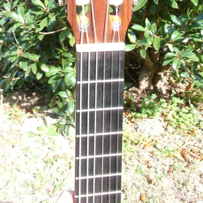 1975 Manuel G. Contreras (1st generation) Classical Guitar Calle Mayor 80, Madrid Cedar Top / Rosewood Body Original Hard Case image 7