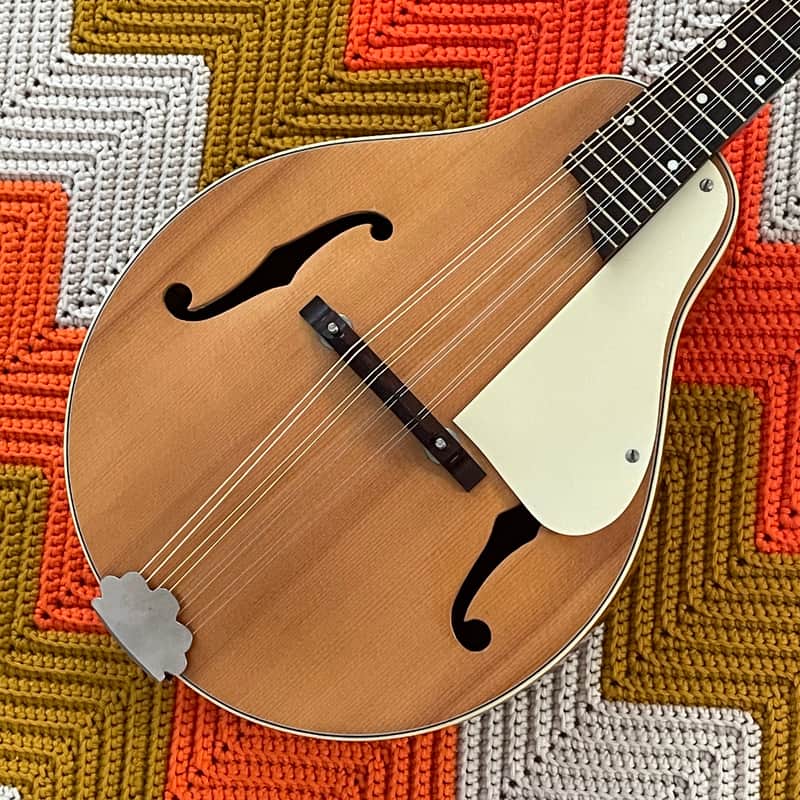 Kay Mandolin - Classic Mandolin! - Made in USA 🇺🇸- Gorgeous Sound and Great Condition! - image 1