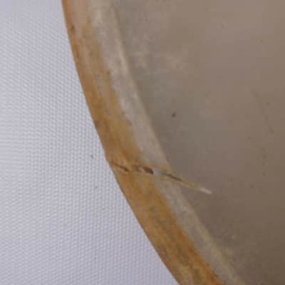 Gretsch 14" Resonant Slunk Calf Skin Snare Drum Tom/Parade/Concert Head 40s US image 3