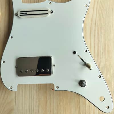 DiMarzio / Tom Brantley / Warmoth Loaded Stratocaster Pickguard 2025 image 2