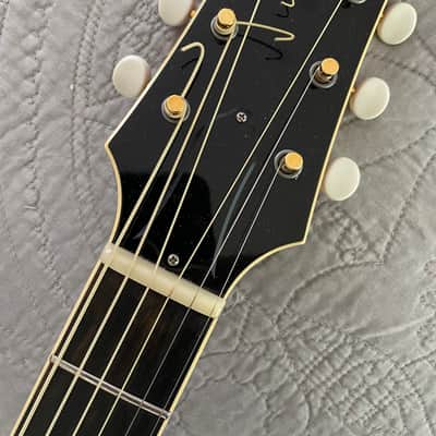 Immagine Stringphonic “Leroy” Recent - Natural - 2