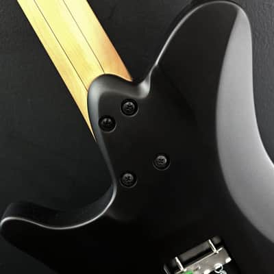 Strandberg Salen Classic NX 6 Black W/Bag Demo image 4