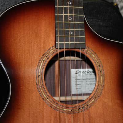 2023 Breedlove - Premier Concert - Edgeburst image 2