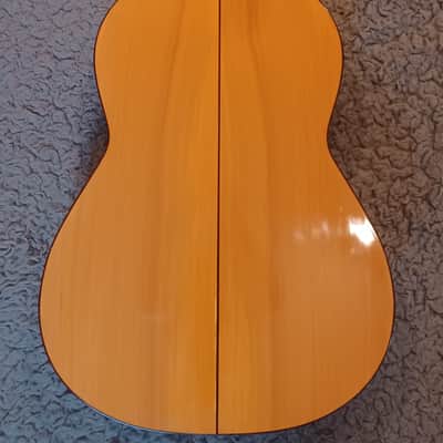 Antonio Raya Pardo Granada  - French Polish image 7