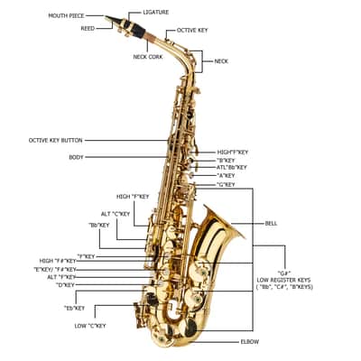 Eb Alto Saxophone Outfit Gold Lacquered Brass w/ Hard Case, Mouthpiece, Reed & Gloves image 4