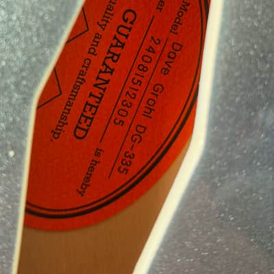 Epiphone Dave Grohl DG-335 2025 - Pelham Blue image 9