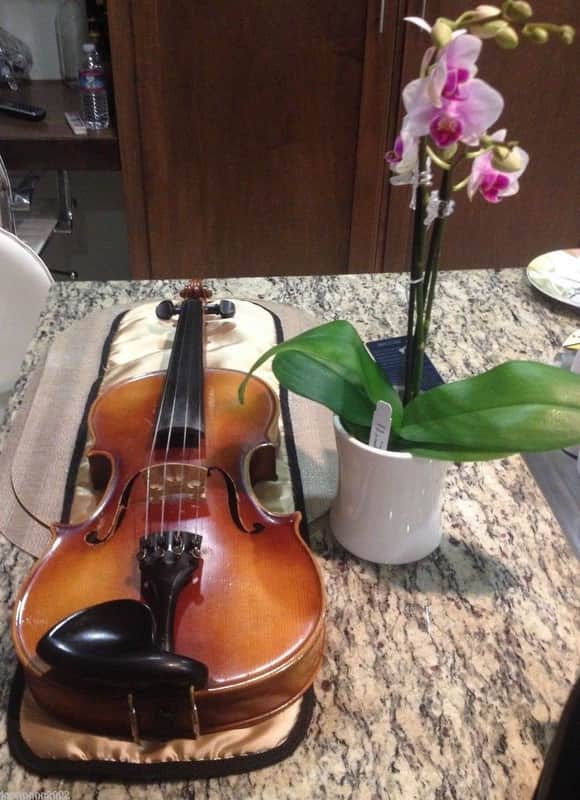 Violin 4/4 Antonius Stradivarius Faciebat Cremona 1713 | Reverb