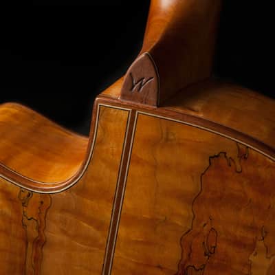 Washburn Comfort Series WCG66SCE-O, Solid Cedar Top, Spalted Maple Back, Sides, New, Free Shipping image 5