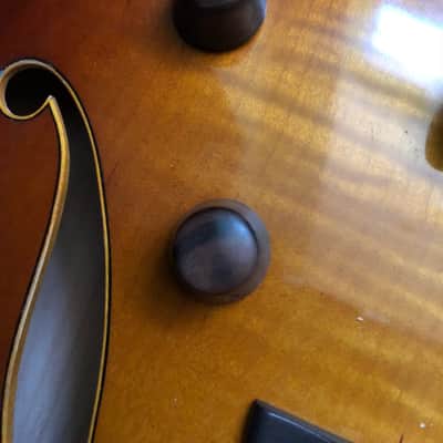 Roger Borys B-120 Deluxe 2012 Honeyburst image 8